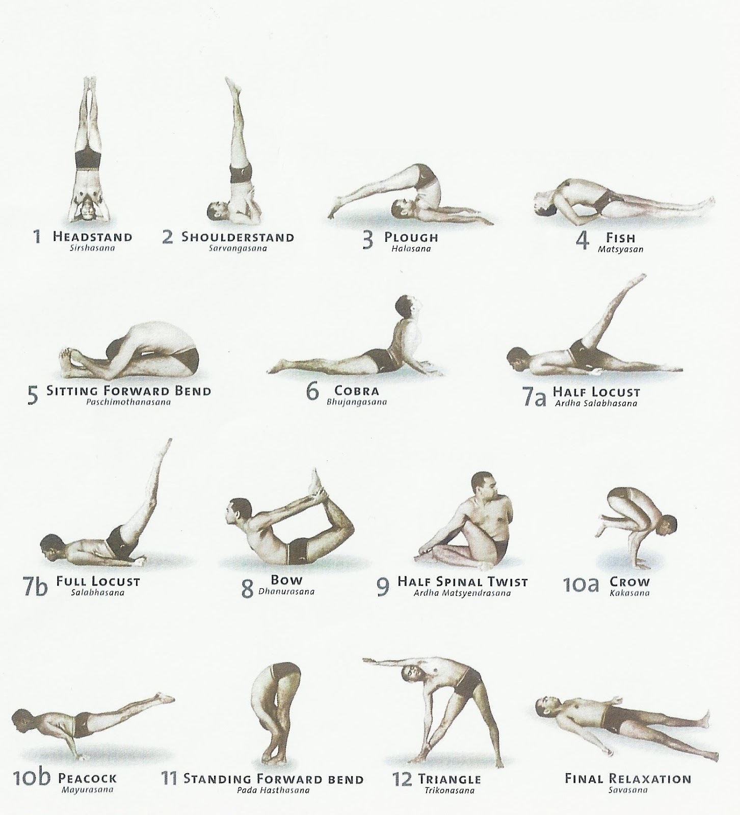 Sivananda-Yoga le 12 posizionio base